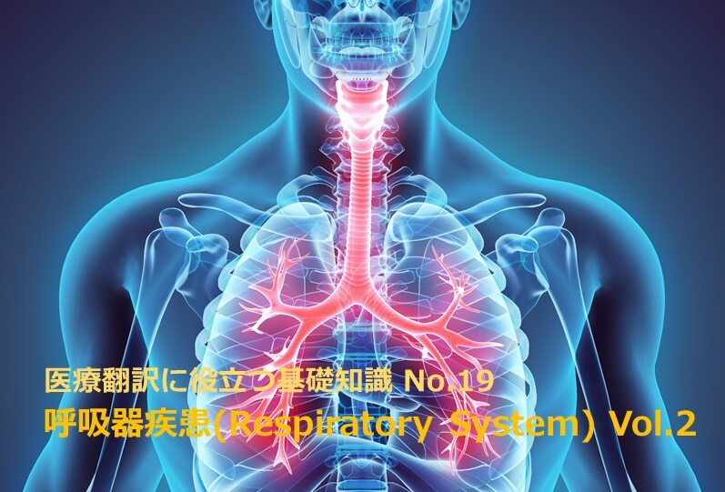B-035_医薬品・医療機器 翻訳サービス：翻訳に必要な医学的知識 No.19 | 呼吸器疾患の主訴(Respiratory System) Vol.2