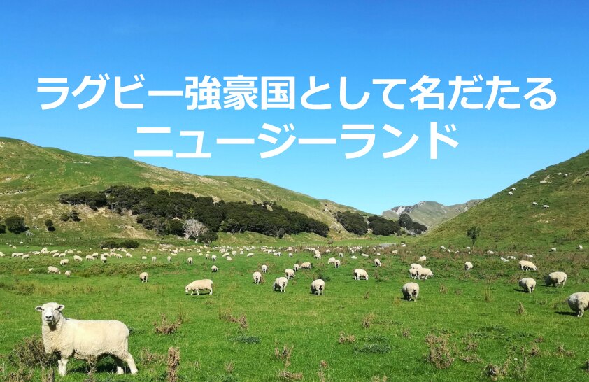 B-161_ラグビー強豪国として名だたるニュージーランド